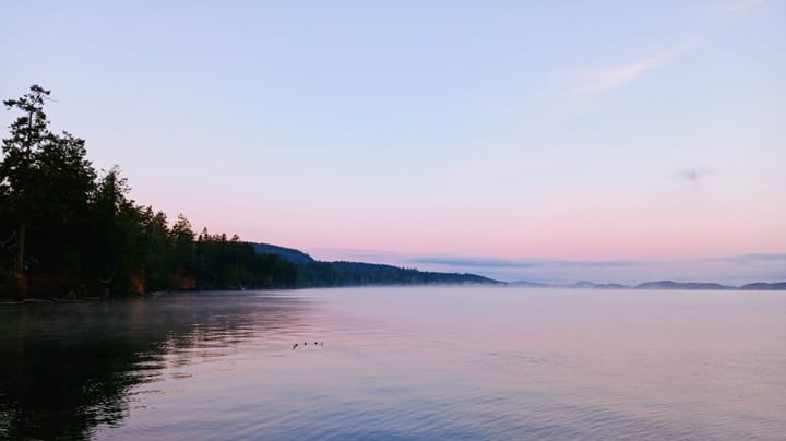 Oceanside channel with mist and a gentle rosy sky. A few water fowl swim in the gentle ripples. 