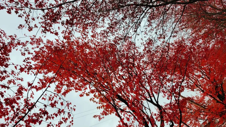 DWebYVR fall update