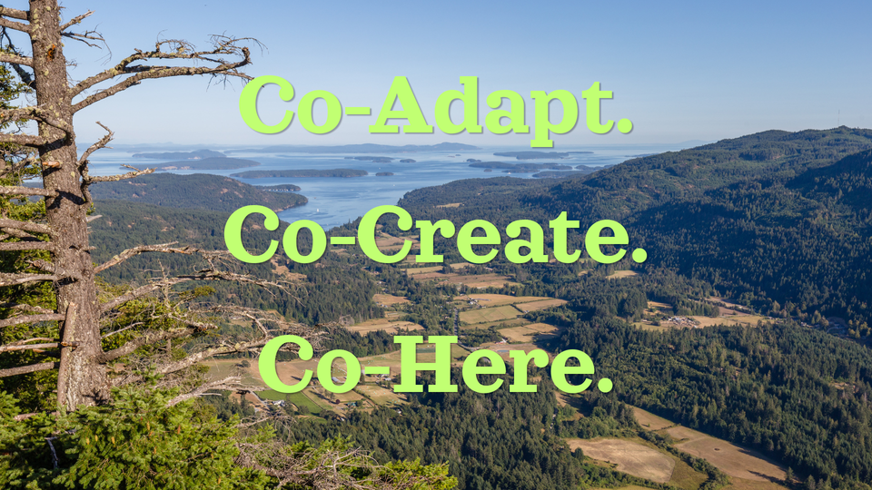Co-Adapt. Co-Create. Co-Here.